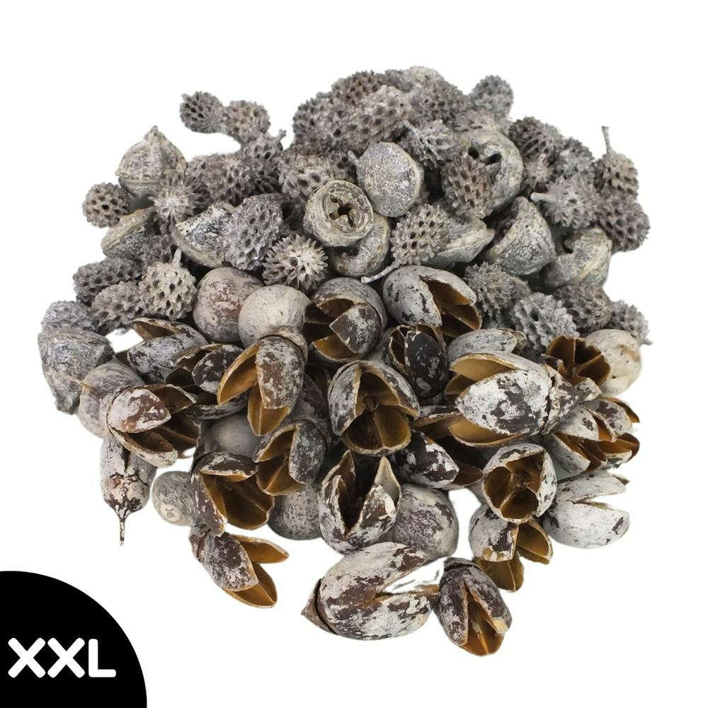 Dekorációs Terméscsomag - Hamvas Szürke - XXL