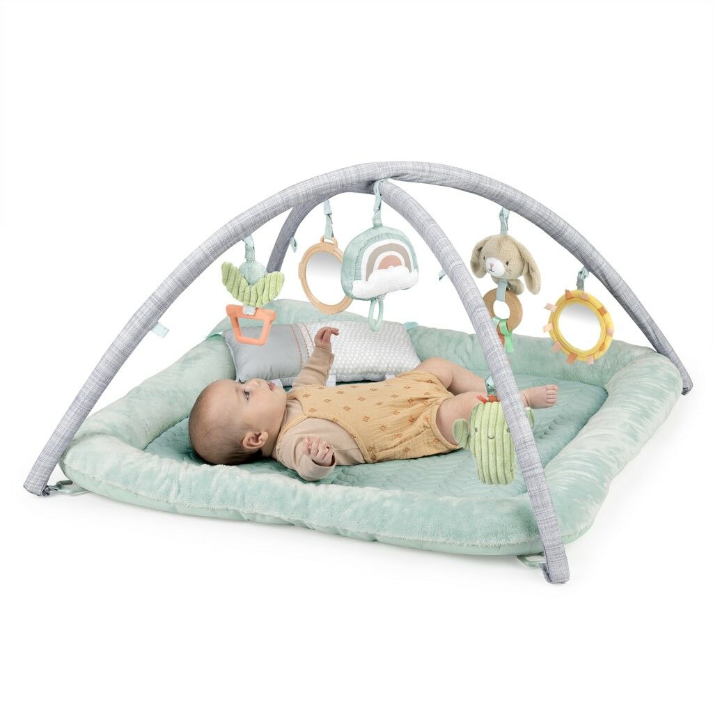 Ingenuity Játékos takaró párnával Calm Springs™ 0m+