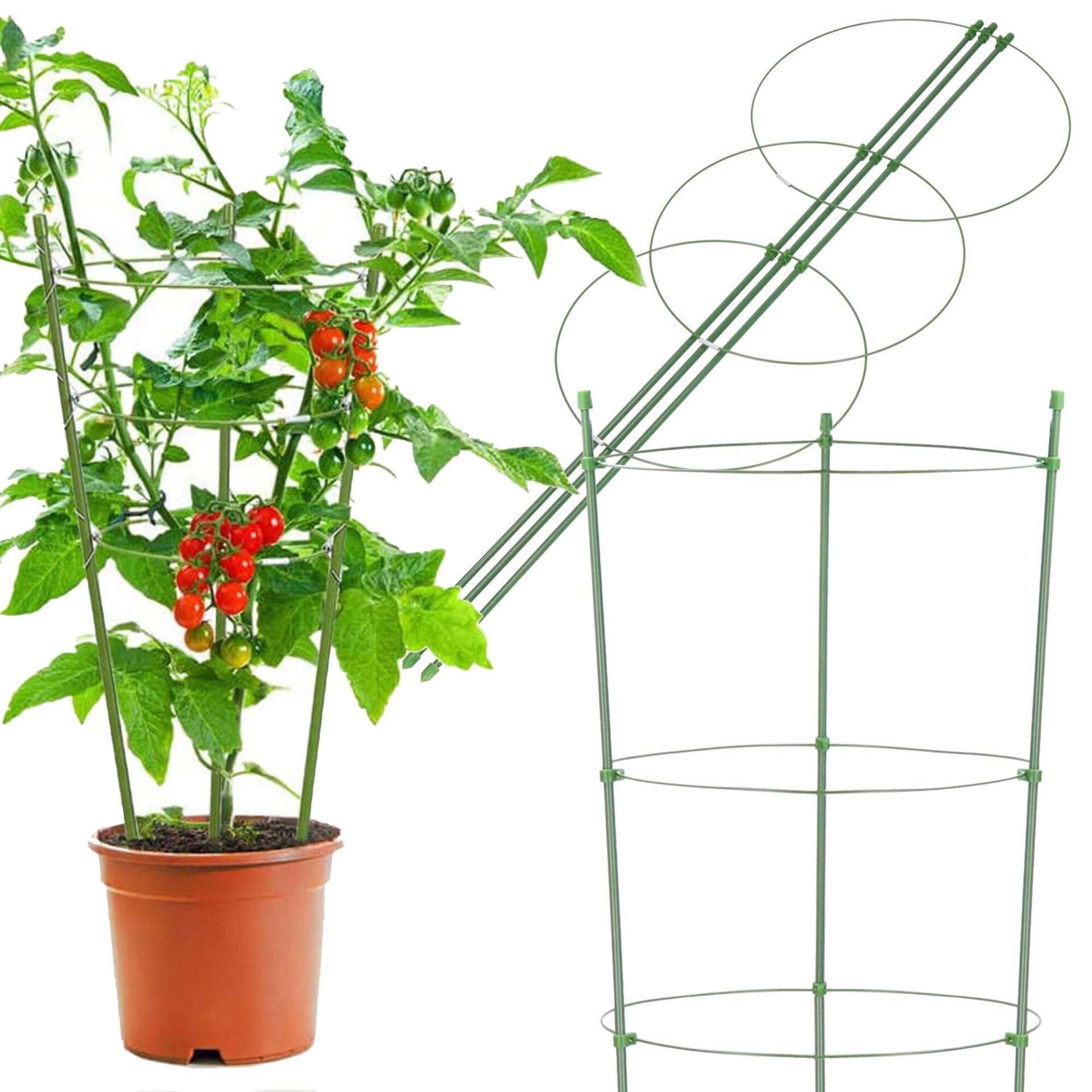 Springos  növénytámasz